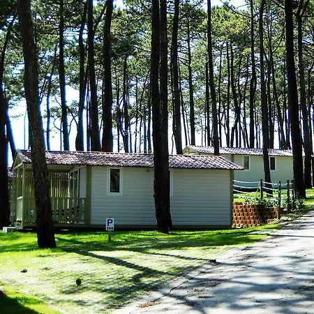 Orbitur Valado - Campsite Nazare